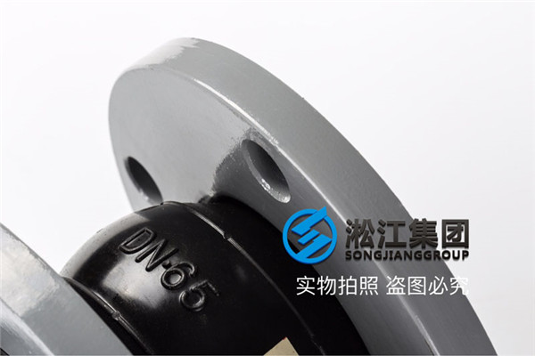 漢中市西鄉縣DN250橡膠接頭,上海知名管道廠家